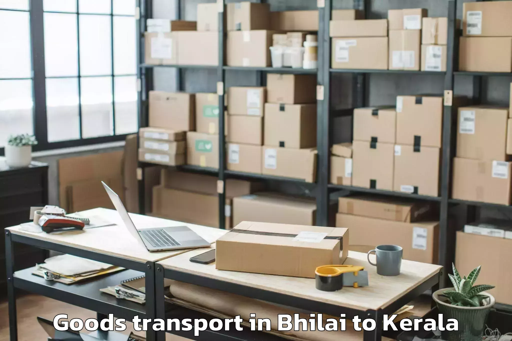 Discover Bhilai to Iritty Goods Transport